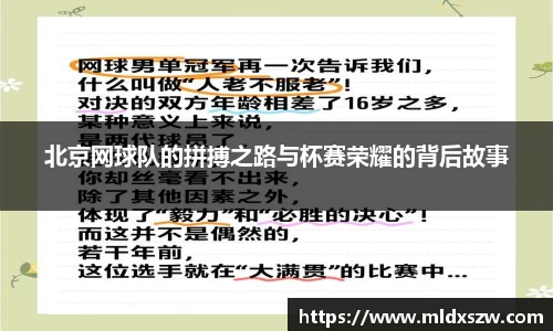 DB视讯真人