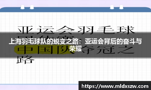DB视讯app