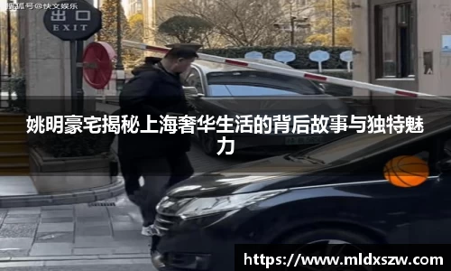 DB视讯