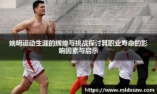 DB视讯官网