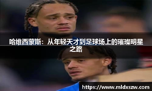 DB视讯真人